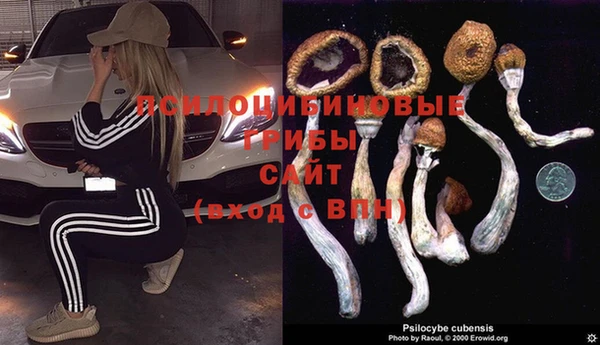 a pvp Верея
