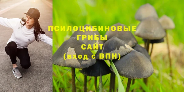 a pvp Верея