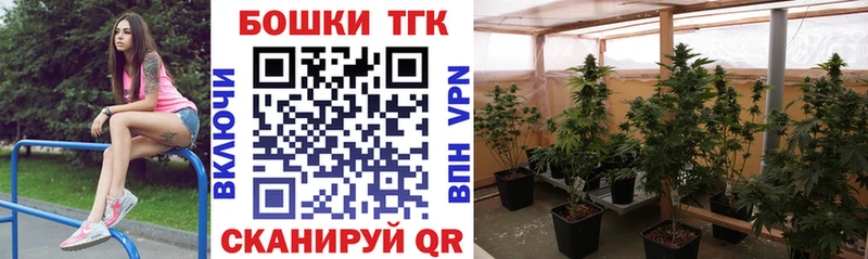 магазин продажи наркотиков  Топки  Бошки марихуана Bruce Banner 